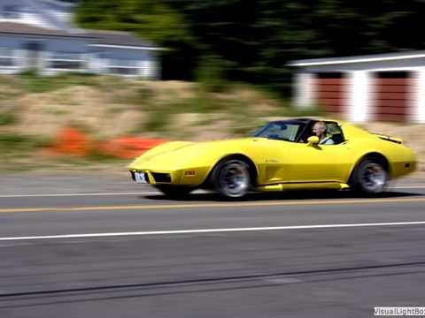 Buttercup photo 7 of 69