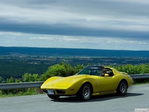 Buttercup photo 3 of 69