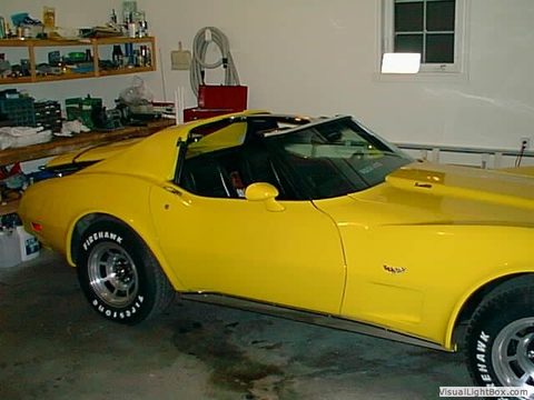 Buttercup photo 39 of 69