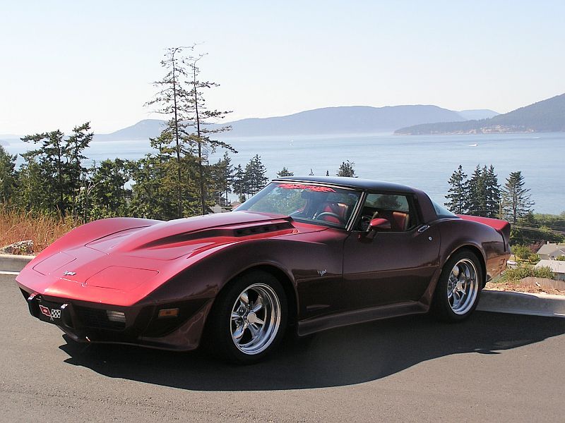 C3 Corvette's 1979 Corvette