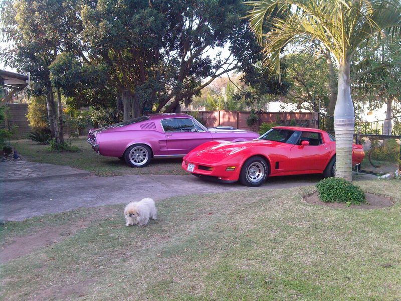 1981 Corvette C3