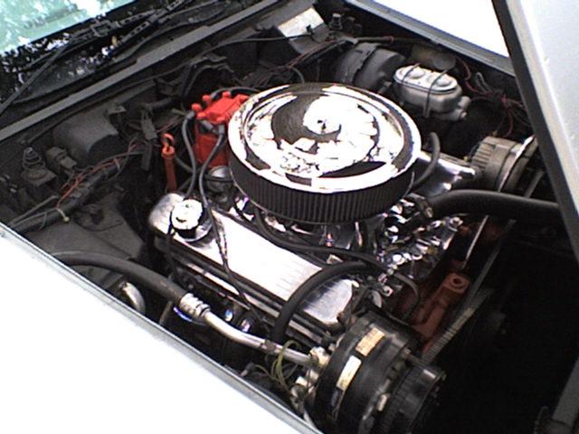 Andrew's 1977 Corvette