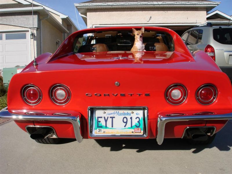 Chris N's 1972 Corvette