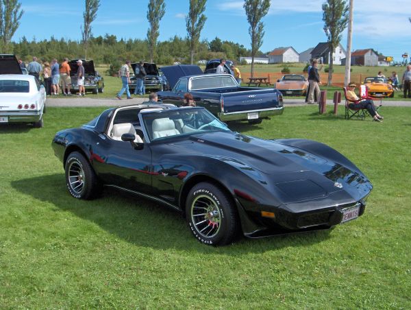 Dennis's 1978 Corvette