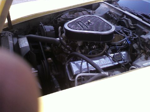 Phil W's C3 Corvette