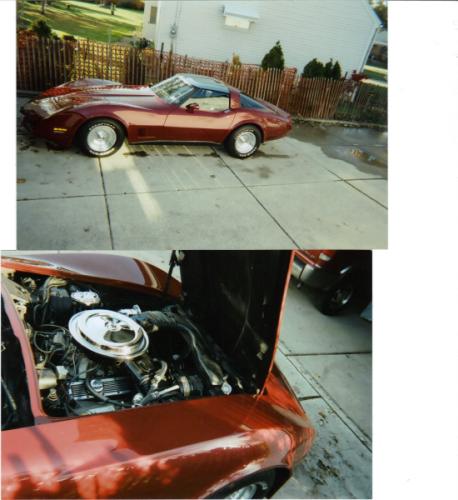 Bill S's 1980 Corvette