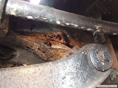 Rust photo 3 of 21