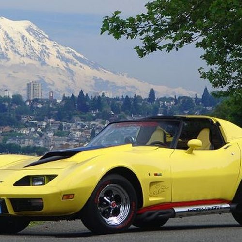 Corvette C3 side pipes