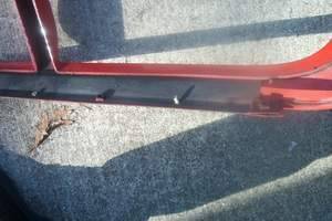 Metal brace riveted to the lower bumper cover
